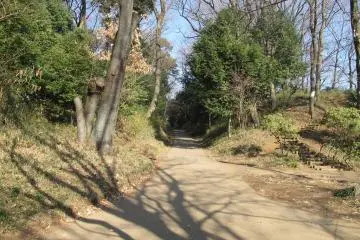 Former Kamakura Highway, Kokubunji City (Photo: <a href="https://commons.wikimedia.org/wiki/File:Kyuu.kamakurakaido.kokubunji.jpg" target="_blank" rel="noreferrer noopener nofollow">Fuchu</a> / <a href="https://creativecommons.org/licenses/by-sa/4.0/deed.en" target="_blank" rel="noreferrer noopener nofollow">CC BY-SA 4.0</a>)