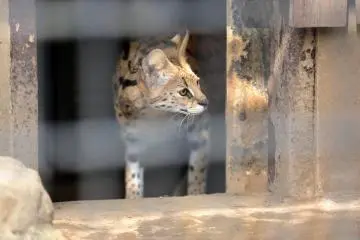 Hamura Zoo, Hamura City