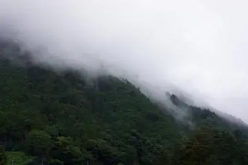Verdant nature, Okutama Town