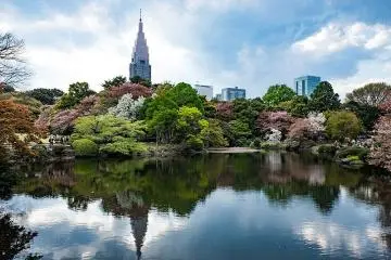 Photo: <a href="https://commons.wikimedia.org/wiki/File:Shinjuku_Gyoen_2017_(33981349590).jpg" target="_blank" rel="noreferrer noopener nofollow">Takuya ASADA</a> / <a href="https://creativecommons.org/licenses/by/2.0/" target="_blank" rel="noreferrer noopener nofollow">CC BY 2.0</a>