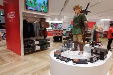 Link resguardando la tienda