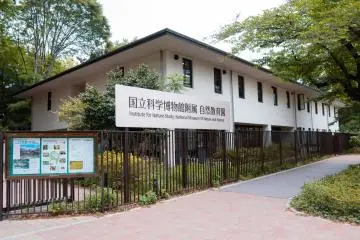 Tokyo's Secret Forest