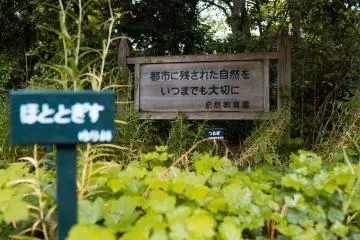 All plants are sign posted so you can check what they are