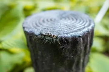 There are plenty of creepy crawlies to be found