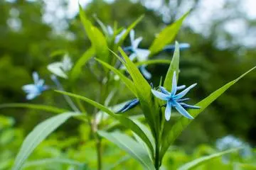 Depending on the season, you'll find all kinds of plant life growing