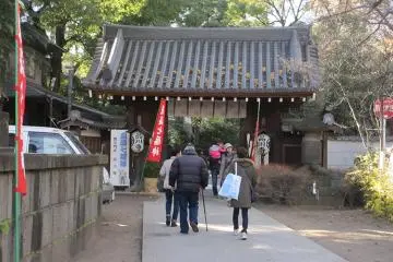 Gallery image