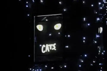 Watch a live performance of Cats in Oimachi