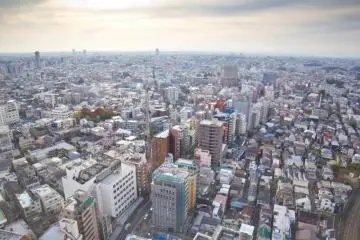 View From Carrot Tower