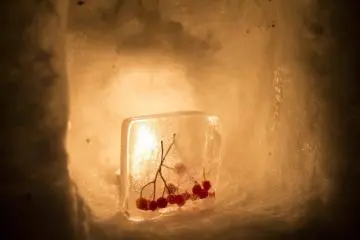 Snow and Ice play together in front of the candle light (Photo: Illaura Rossiter)