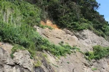 Enoshima Island