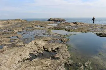 Enoshima Island