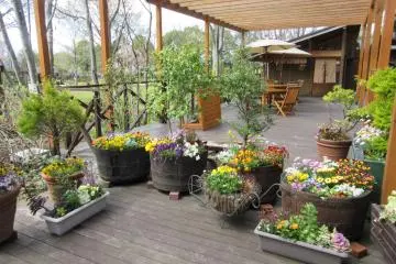 Floral Garden in Obuse
