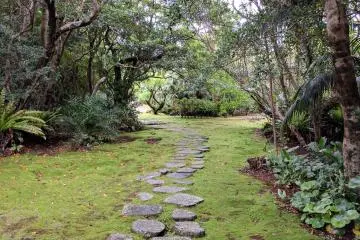 Hachijo Botanical Garden, Hachijojima Island