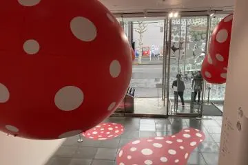 Signature polka dot art in the lobby