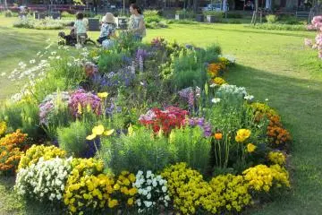 Flower beds