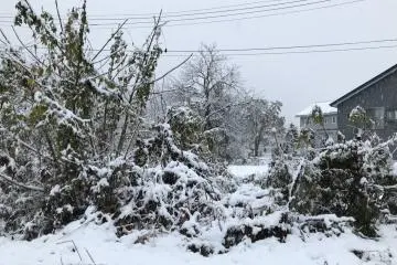 This was the first snow for the year, and a substantial one