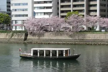 A cruise boat