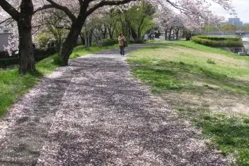 Park along the river