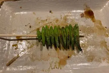 Lilybud yakitori