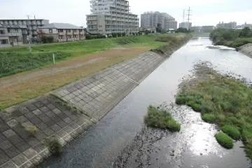 Yaotome district