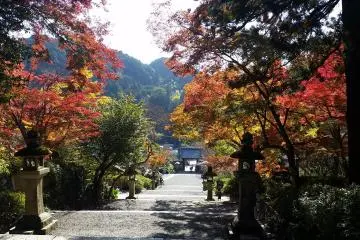Looking down at the entrance