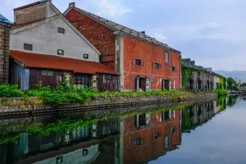 Winter makes way for lush greenery along the canal