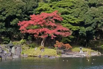 Koishikawa Korakuen