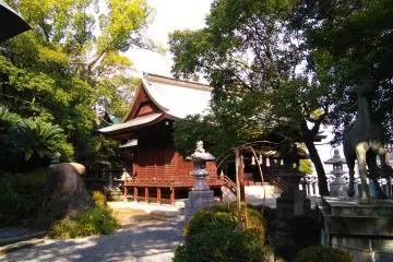 Gallery image
