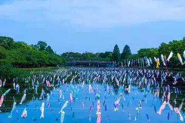 The hanging carp streamers symbolize strength and perseverance (Photo: <a href="https://flickr.com/photos/yoshikazut/14091193581/in/photostream/" target="_blank" rel="noreferrer noopener nofollow">Yoshikazu TAKADA</a> / <a href="https://creativecommons.org/licenses/by/2.0/" target="_blank" rel="noreferrer noopener nofollow">CC BY 2.0</a>)