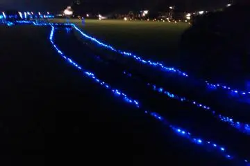 Blue lights along a small creek