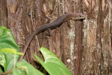 You can discover a range of slithery friends here!