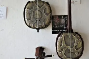 The snakeskin sanshin