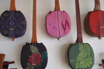 Asoviva Sanshin in a school of tropical coral hues, appealing to a newer audience