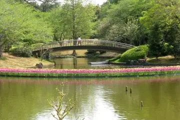 Hamamatsu Flower Park