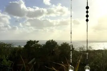 A relaxing view from the living room window
