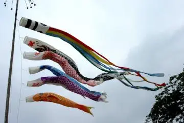 Koi streamers for Kodomo-no-hi Matsuri