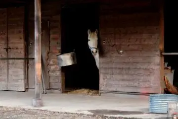 Stable at Omuro Sengen Shrine