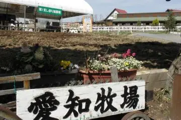 It's not a Fun Park, it's a Fun Farm! (Photo: Aichi Prefecture)