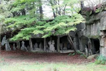 Gallery image