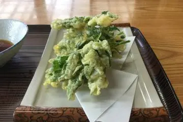 Ashitaba tempura