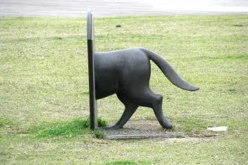 Part of a composition of dogs' sculptures