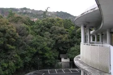 The onsen was surrounded by wood from one side...