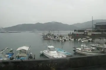 The view could be great on a fine day!