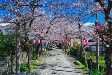 Road from Red Gate to second gate in April