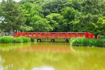 Flat Bridge in June