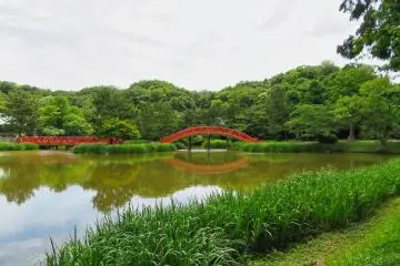 Summer view of Ajigaike Pond