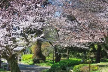Shomoyji Temple grounds