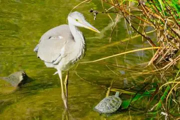 Fishing for breakfast in November