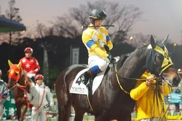 Night races at Tokyo City Keiba