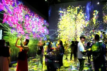 Digital Art Museum TeamLab Borderless 